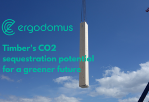 Timber’s CO2 sequestration potential for a greener future 